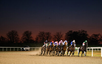 The Role of Discipline in Betting: Why Sticking to the Plan is Crucial