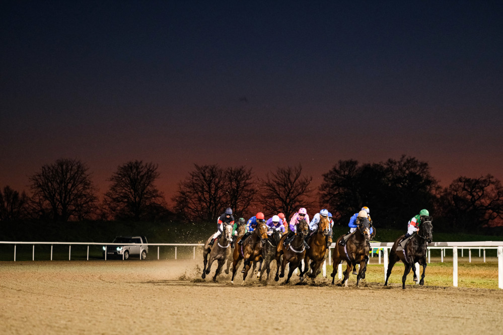 The Role of Discipline in Betting: Why Sticking to the Plan is Crucial